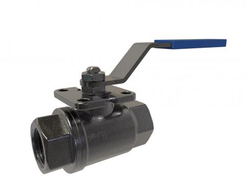 BV2-6666T-NPT Product image